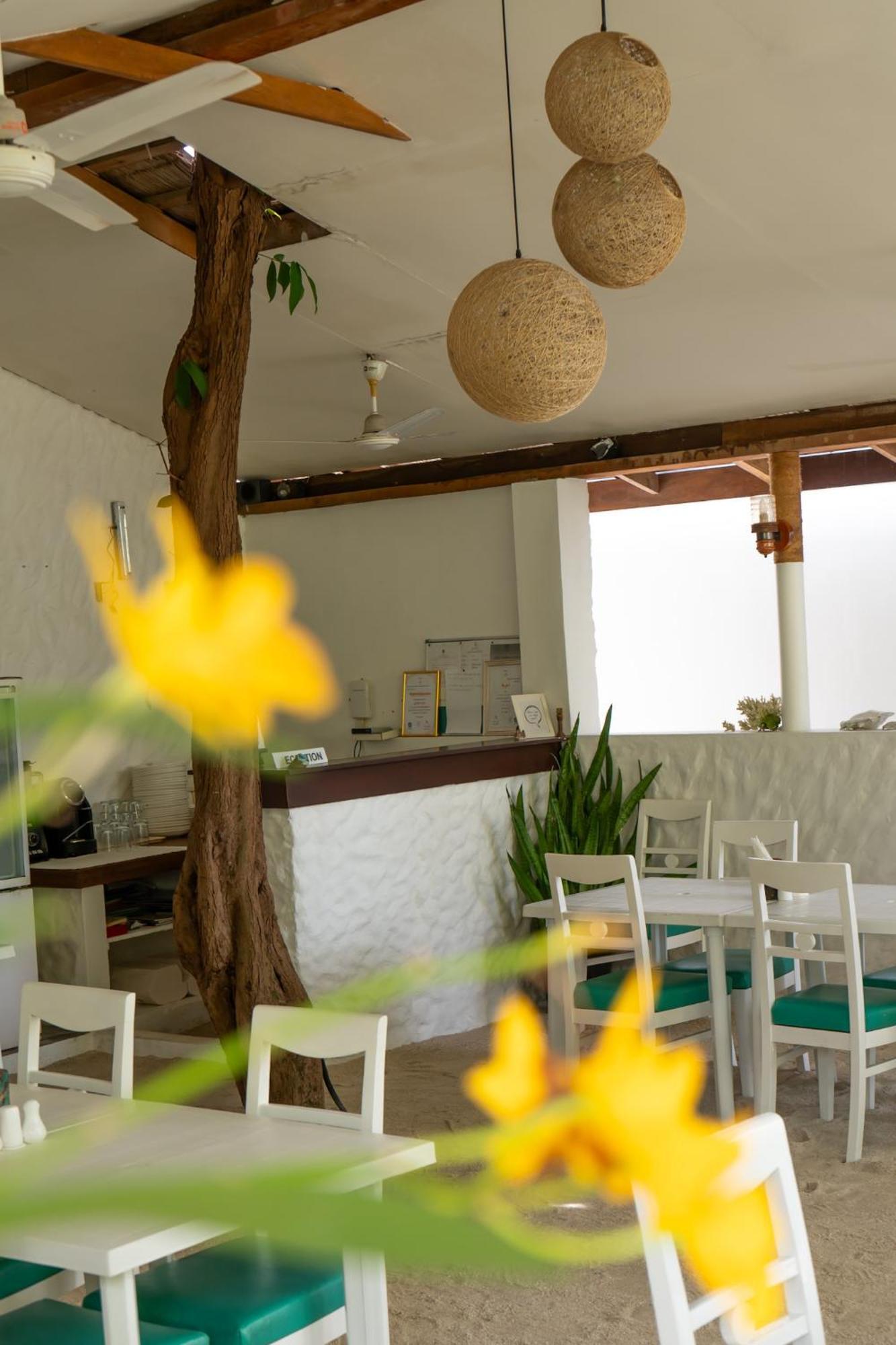 Hotel Vaali Maldives Island Escapes & Dive Felidhoo Zewnętrze zdjęcie